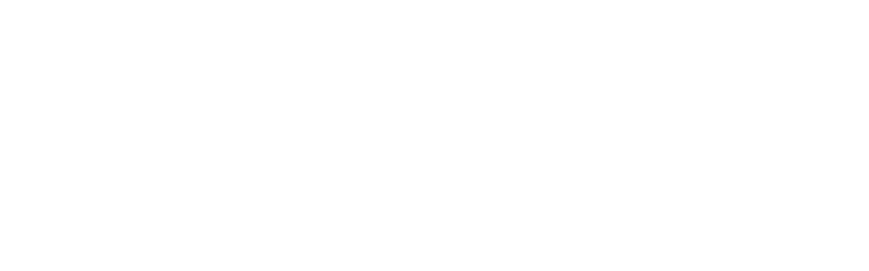 Chevon logo
